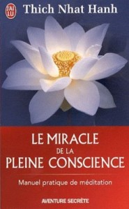 le-miracle-de-la-pleine-conscience-1985122-250-400